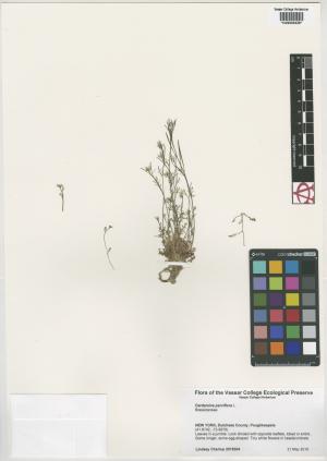 6361-Service File.jpg