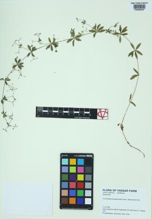6433-Service File.jpg
