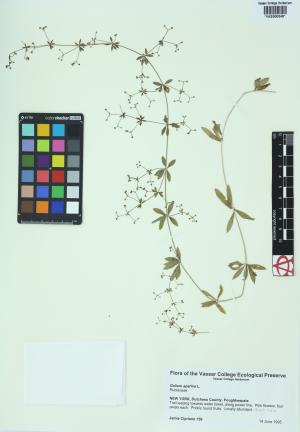6442-Service File.jpg