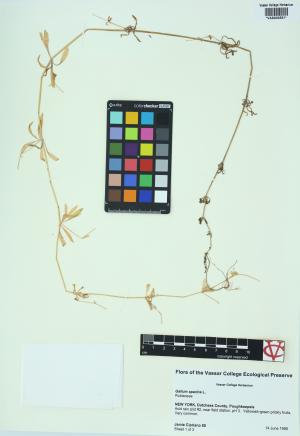 6444-Service File.jpg