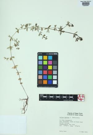 6447-Service File.jpg