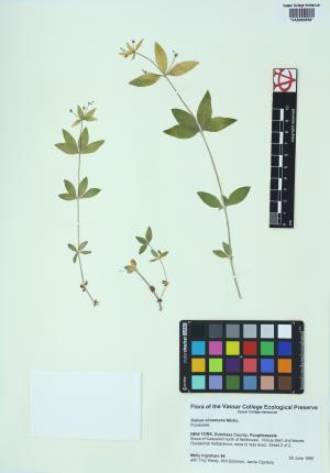 6451-Service File.jpg