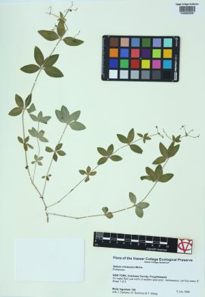 6452-Service File.jpg