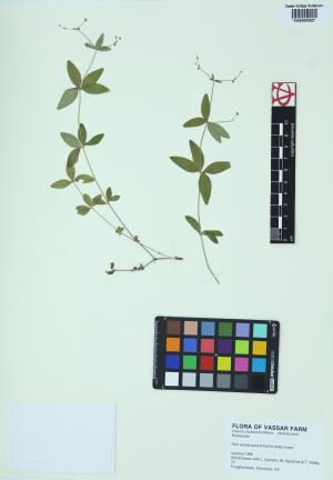 6455-Service File.jpg