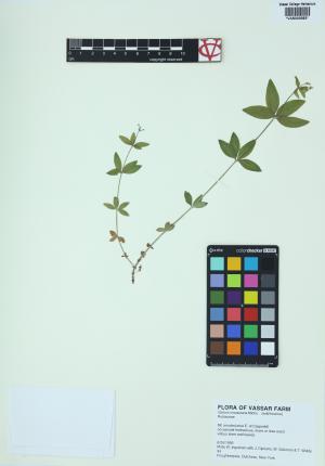 6458-Service File.jpg