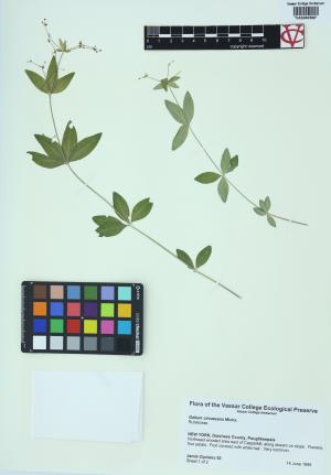 6459-Service File.jpg