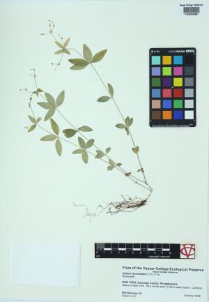 6462-Service File.jpg
