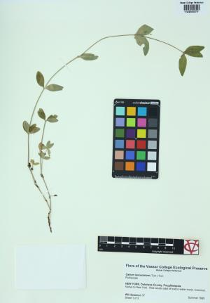 6463-Service File.jpg
