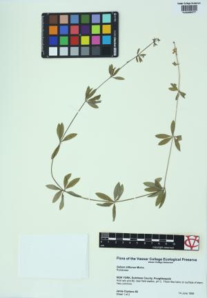 6470-Service File.jpg