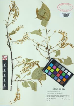 6492-Service File.jpg