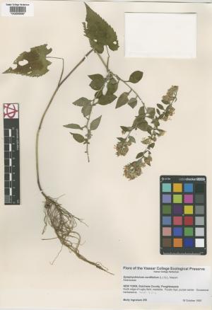 6500-Service File.jpg