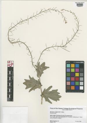 6505-Service File.jpg