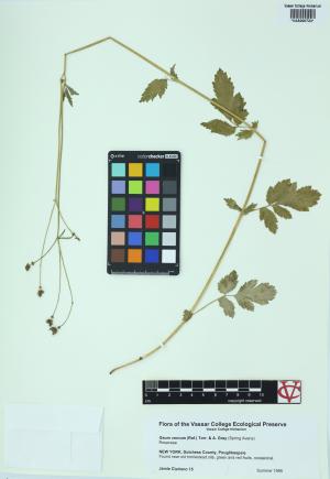 6507-Service File.jpg