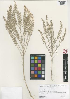 6511-Service File.jpg