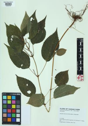 6515-Service File.jpg