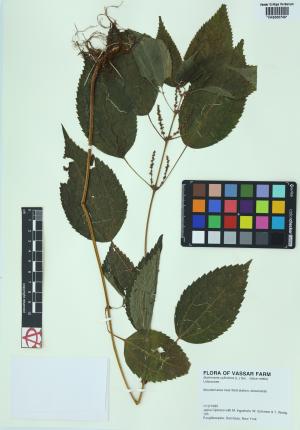 6516-Service File.jpg