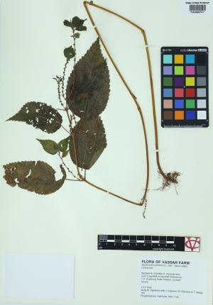 6517-Service File.jpg