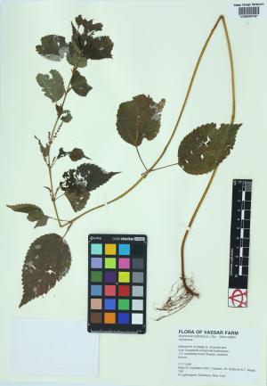 6518-Service File.jpg
