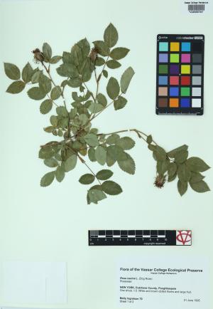 6519-Service File.jpg