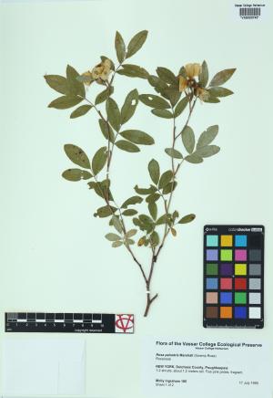6520-Service File.jpg