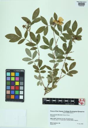 6521-Service File.jpg