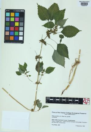 6528-Service File.jpg