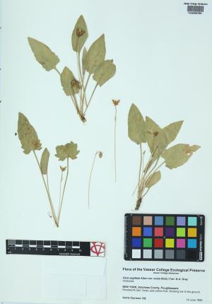 6531-Service File.jpg