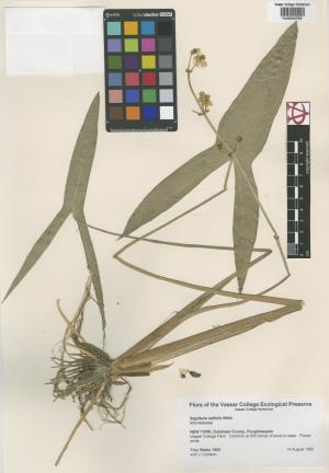 6534-Service File.jpg