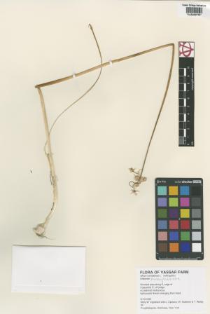 6544-Service File.jpg