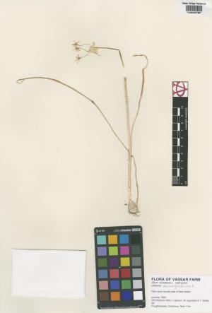 6557-Service File.jpg