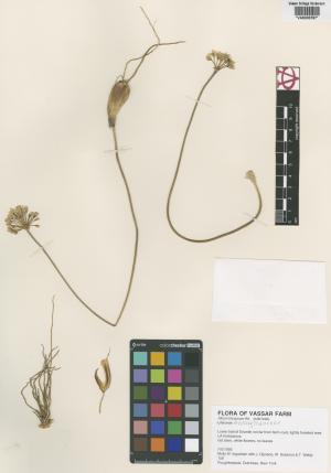 6558-Service File.jpg