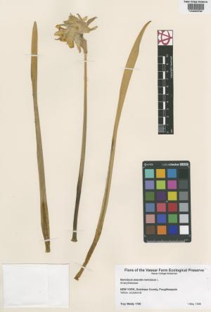 6564-Service File.jpg