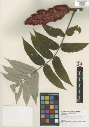 6566-Service File.jpg