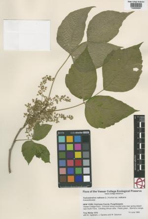 6569-Service File.jpg