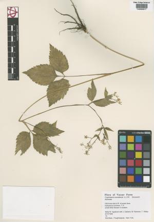 6586-Service File.jpg