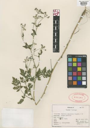 6603-Service File.jpg