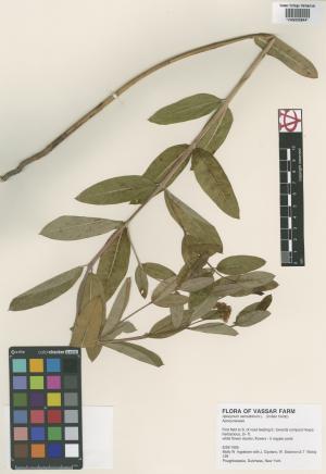 6604-Service File.jpg