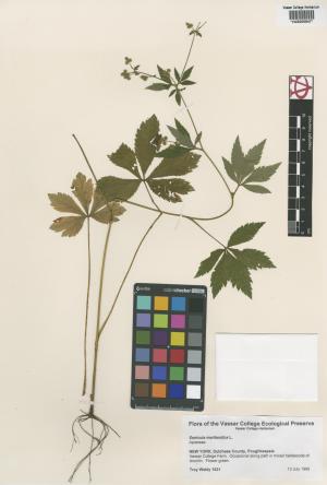 6607-Service File.jpg