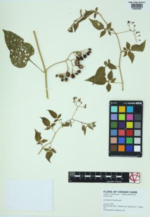 6613-Service File.jpg