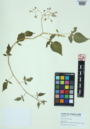 6615-Service File.jpg