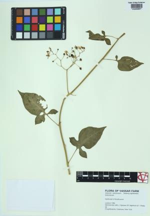 6617-Service File.jpg