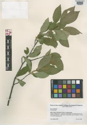 6627-Service File.jpg