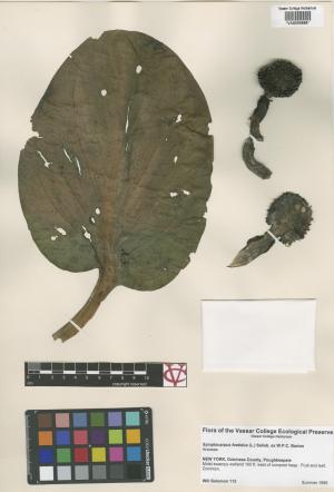 6639-Service File.jpg