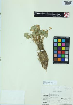 6649-Service File.jpg