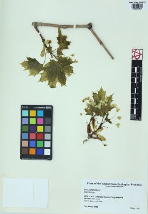6653-Service File.jpg