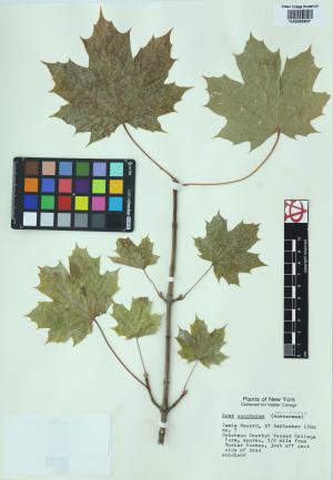 6657-Service File.jpg