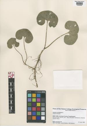 6672-Service File.jpg