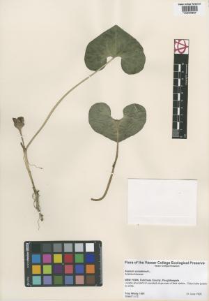 6674-Service File.jpg