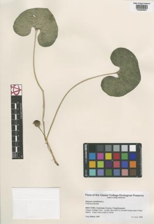 6675-Service File.jpg