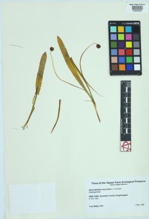 6695-Service File.jpg